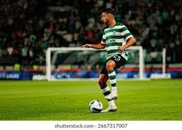 《宝可梦Sleep》新功能“睡饱饱奖章”概念影像公布!